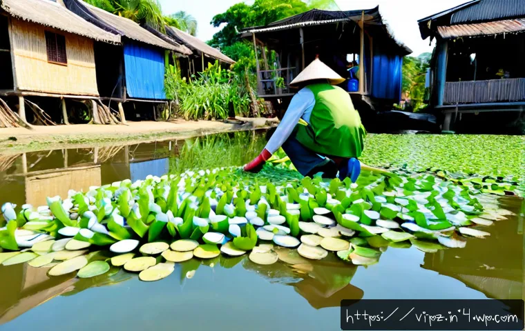 Nghệ thuật sinh thái: từ nền tảng lý thuyết đến cách triển khai dự án và chọn nguồn lực phù hợp 3 생태 미술의 이론과 실제 관련 이미지 1